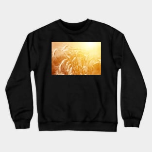 Bunch of mature ears of rye at golden sunset Crewneck Sweatshirt